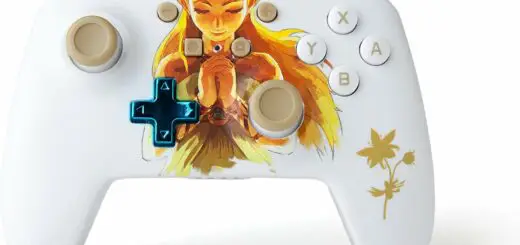 Mando Pincess Zelda Switch